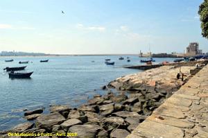 0799 - De Matosinhos a Porto